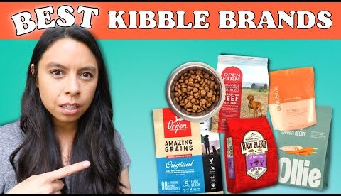 5 Best KIBBLE Brands?! Official Dog Food Review!