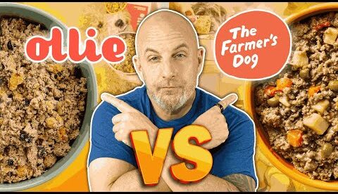 Ollie vs The Farmer’s Dog | Best Dog Food Subscription in 2026?