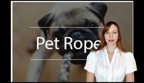 Where To Buy Pet Supplies Online In New Rochelle | Free Delivery For Quality Pet Supplies
