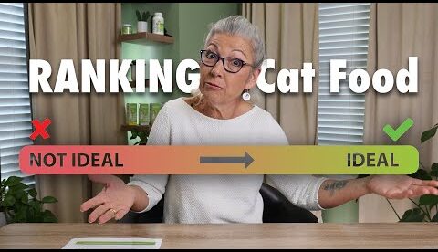Dr. Judy Ranks Cat Food! What to Look For & Avoid in Cat Food