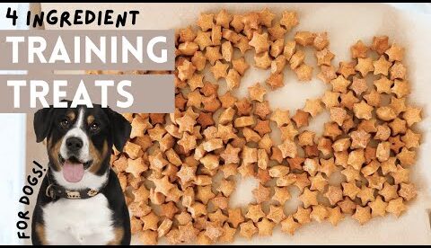 4 Ingredient Dog Training Treats: Easy DIY Recipe For Your Pup!