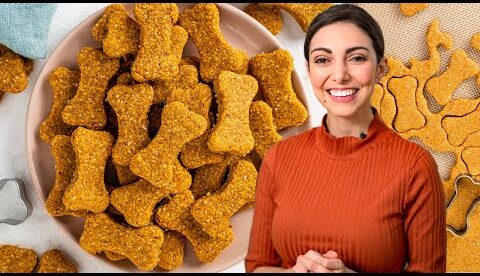 3 Ingredient Homemade Dog Treat Recipe 🐶 Less Than $1