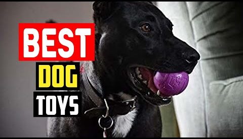 ✅Best Dog Toys for Tough Chewers in 2025