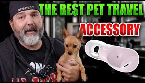 The Best Travel Accessory For Your Dog or Cat!