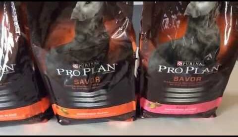 7/6/15- Couponing at Petco....Huge savings on Dog & Cat food....only $14.84 for all (retail $60.44)