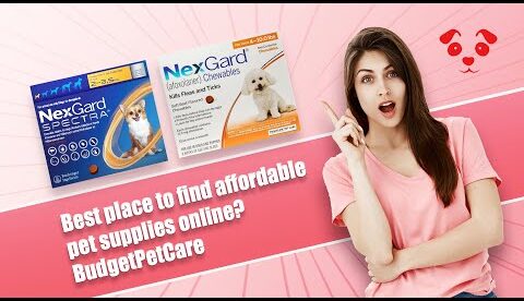BudgetPetCare | Affordable Pet Supplies & Products Online