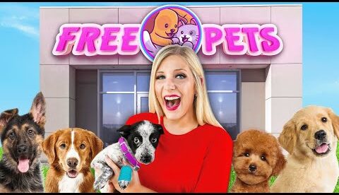 I Opened a FREE Pet Store!