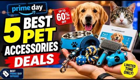 🐶 5 Best Pet Accessories Prime Day Deals You Can't Miss!